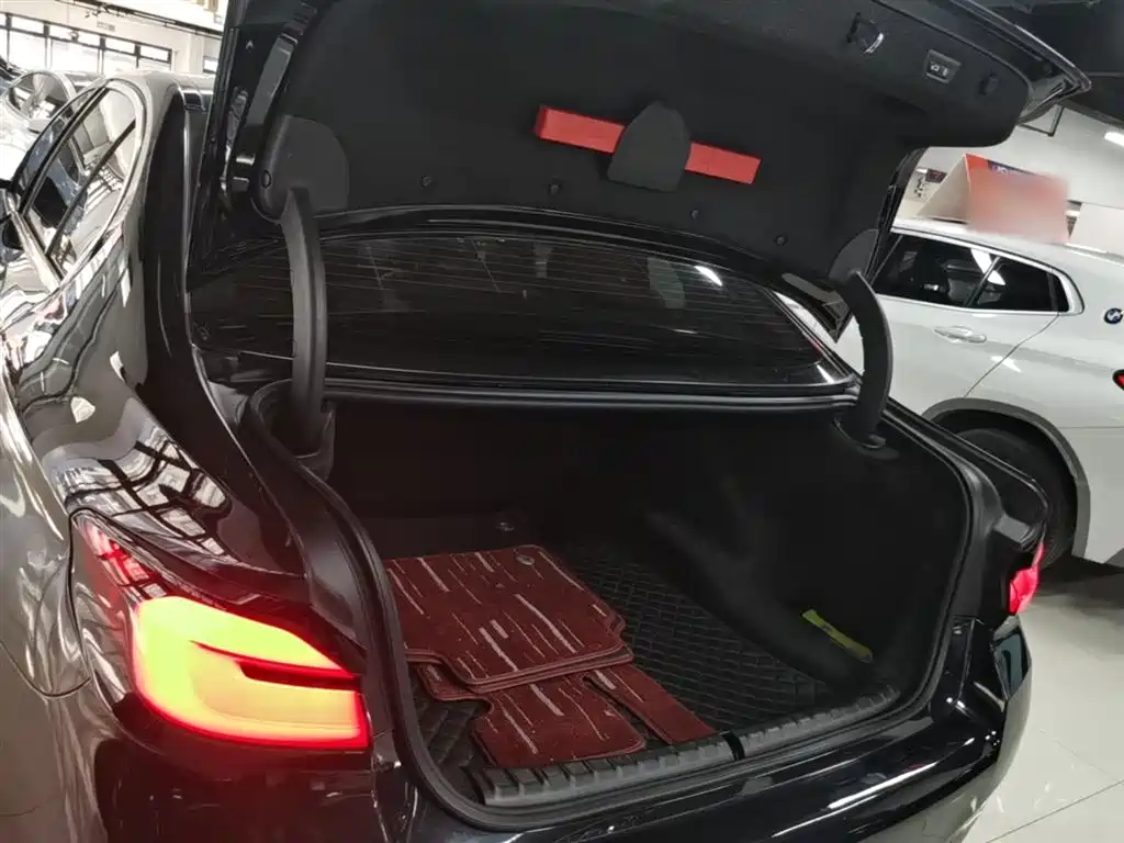 BMW 5 Series 2022 Model Second Facelift 530Li Leading M Sport Package фото 19