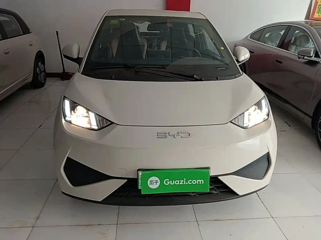 BYD Seagull 2026 2025 Smart Drive Edition 305km Vitality Version