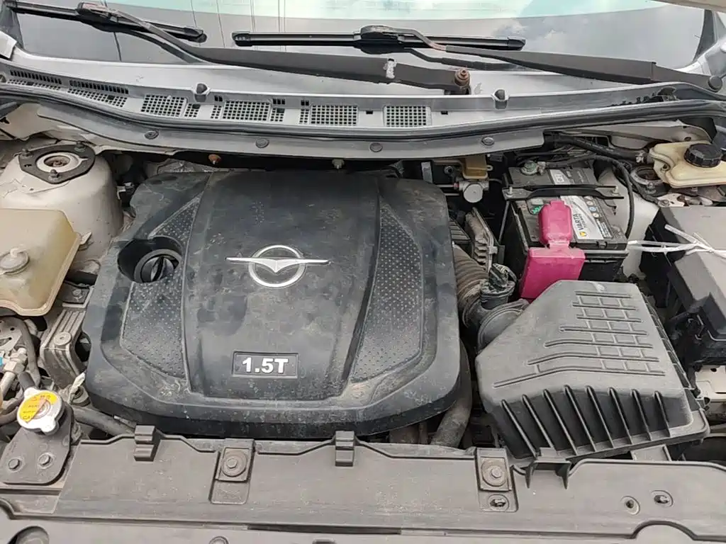 صورة 20 - Haima Famila MPV
