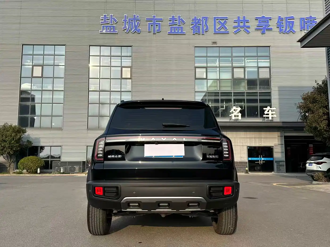 Haval Big Dog 2024 1.5T DCT Border Collie Edition фото 4