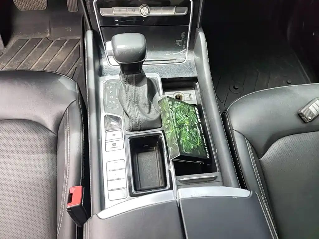 Roewe RX8 2023 2019 30T 2WD Flagship Edition