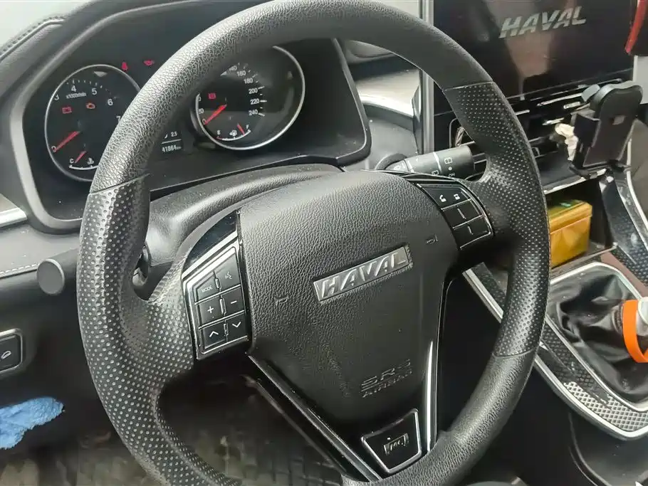 HAVAL M6