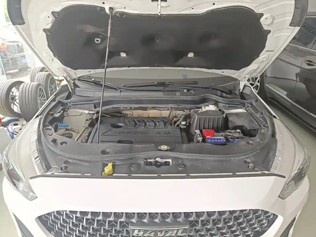 Фото 20 - Haval M6