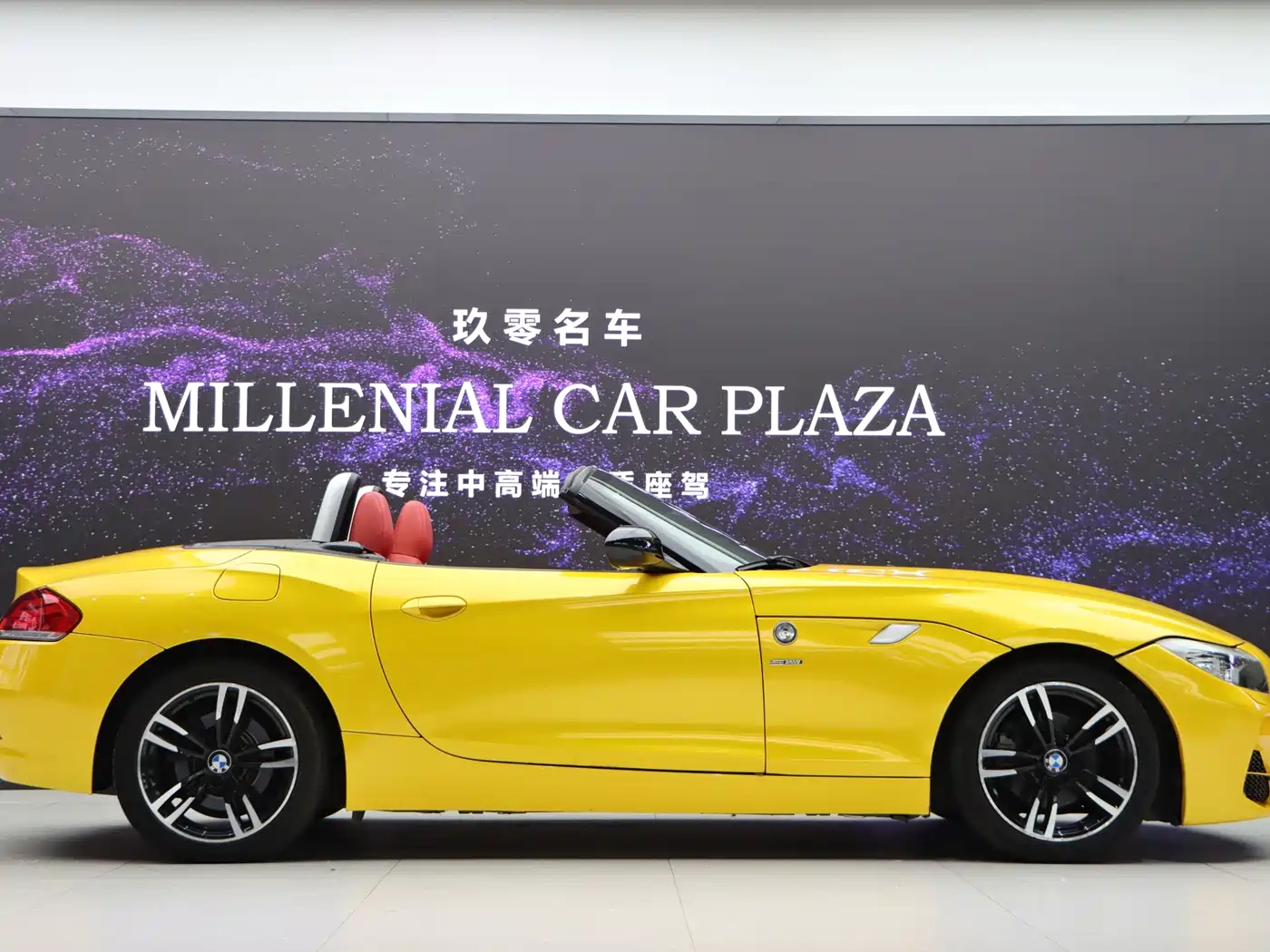 BMW Z4 2014 2013 sDrive20i Leading