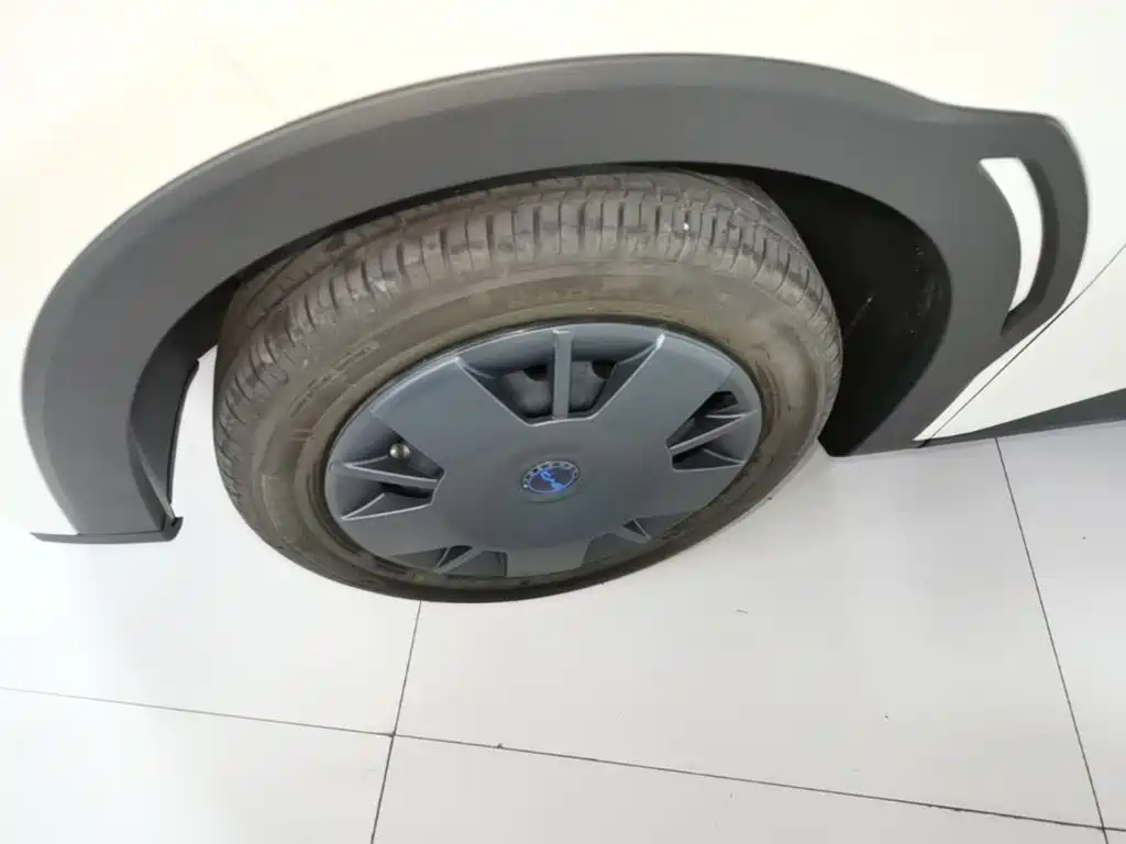 BYD Seagull 2026 2025 Smart Drive Edition 305km Vitality Version