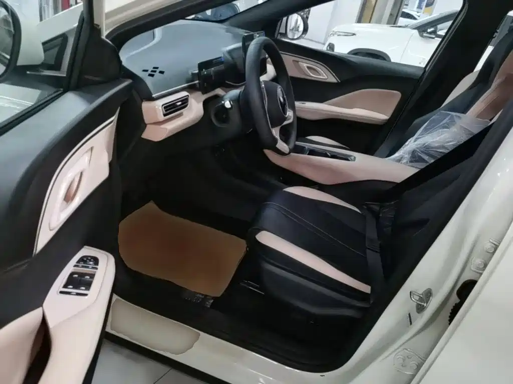 BYD Seagull 2026 2025 Smart Drive Edition 305km Vitality Version