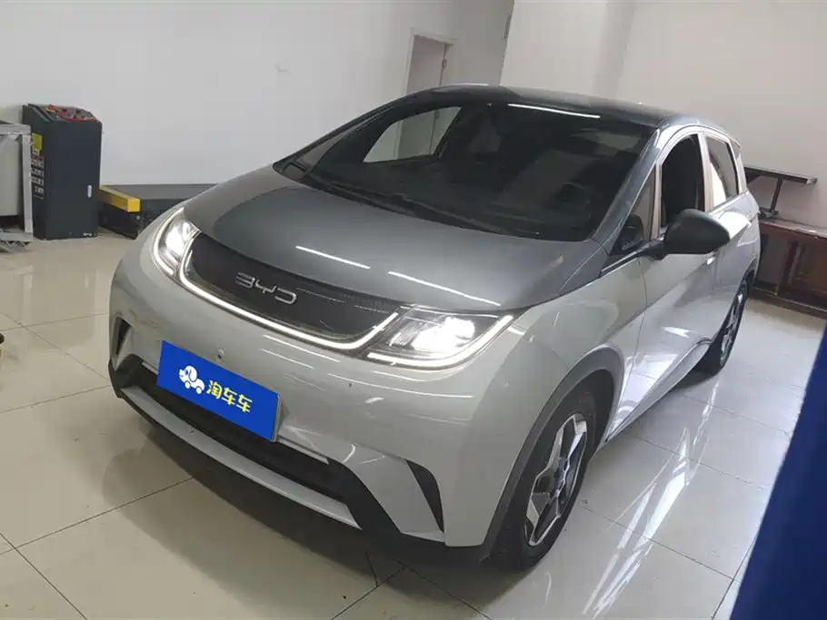 BYD Dolphin 2021 Model 405km Fashion Edition