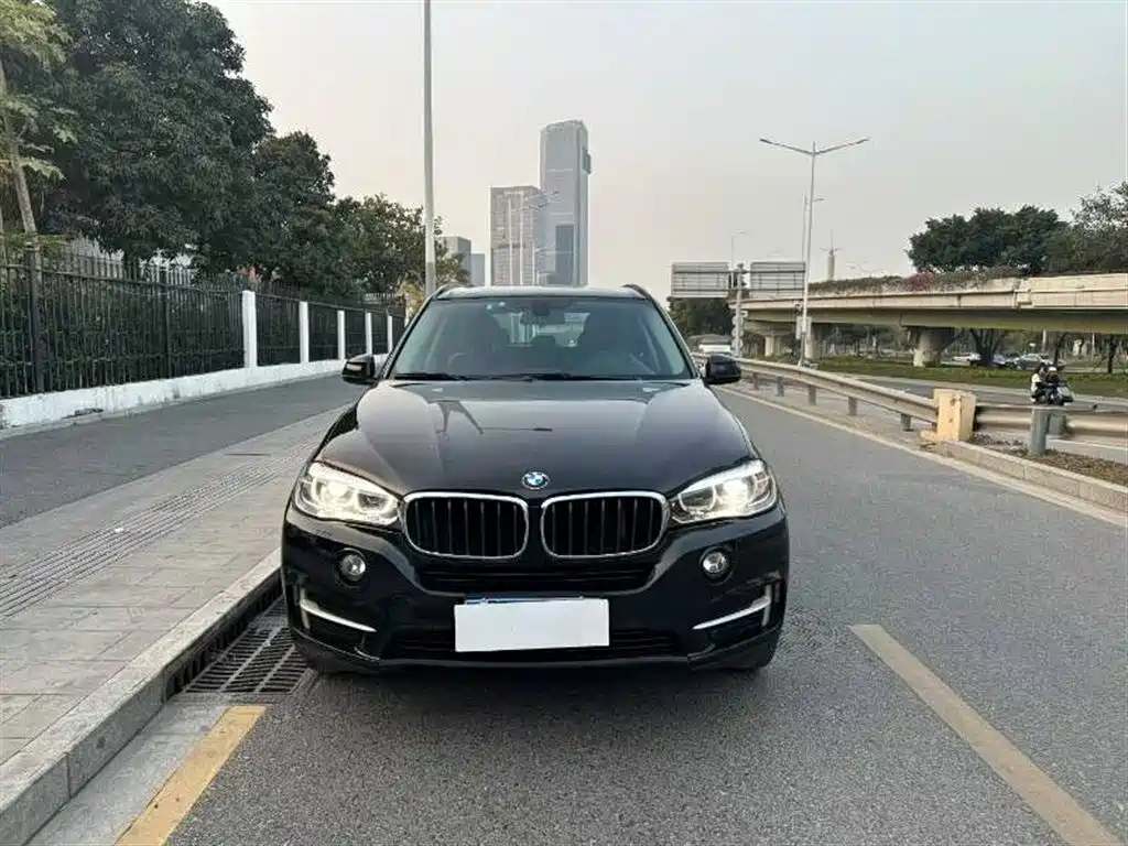 BMW X5 (Import) 2017 xDrive35i Elegance фото 2