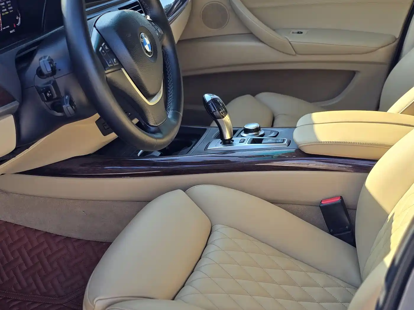 BMW X5 (Import) 2009 xDrive48i Luxury фото 11