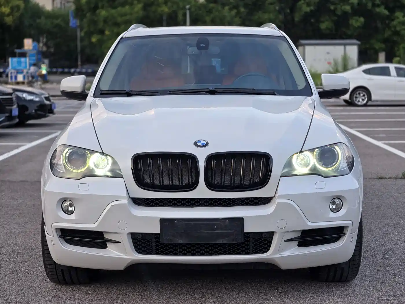 BMW X5 (Import) 2009 xDrive48i Luxury фото 2