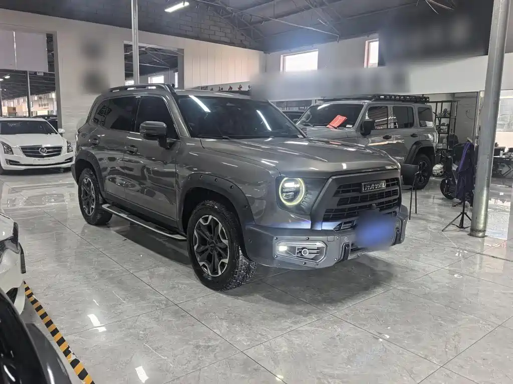 Фото 7 - Haval Dargo