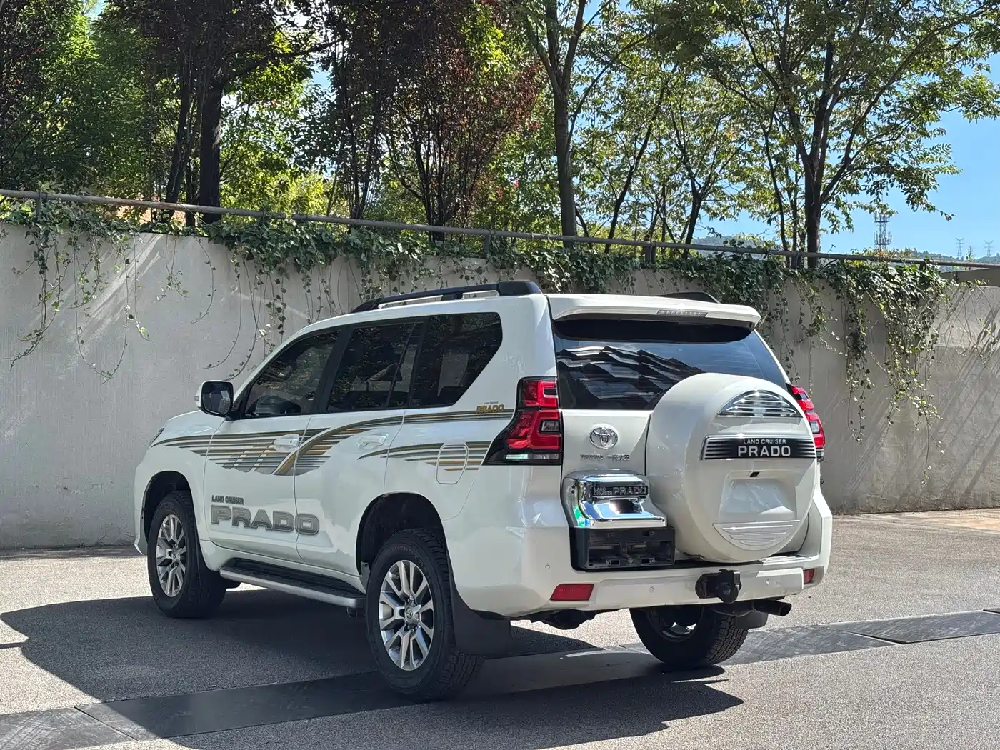 Toyota Prado 2019 2018 3.5L Automatic TX-L Rear-mounted Spare Tire