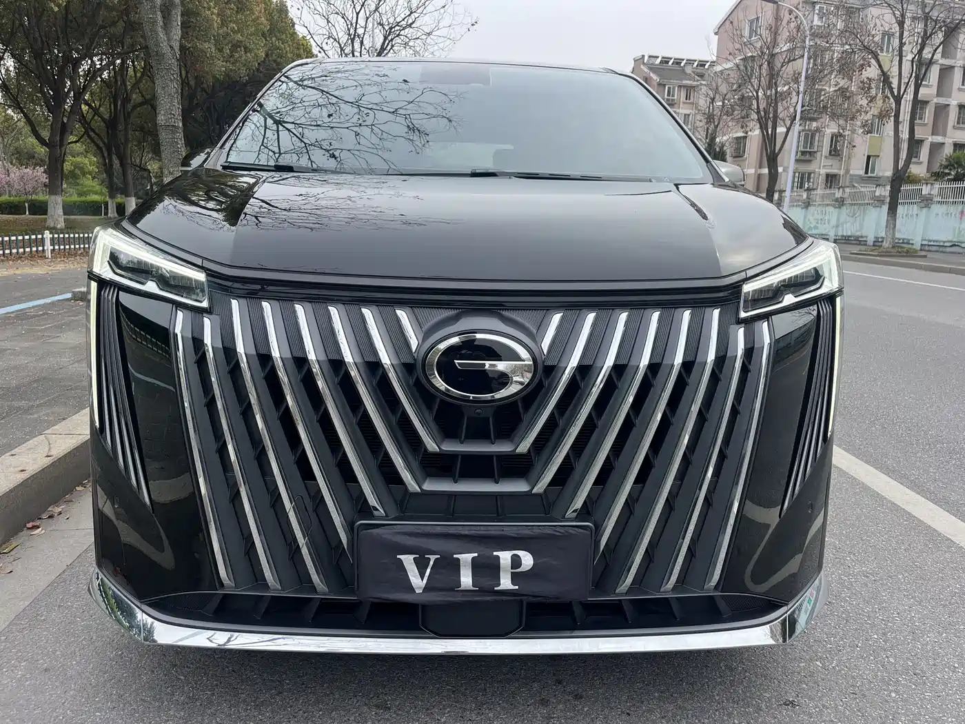 GAC Trumpchi Trumpchi M8 2024 Master Series 400T Premium Edition фото 2