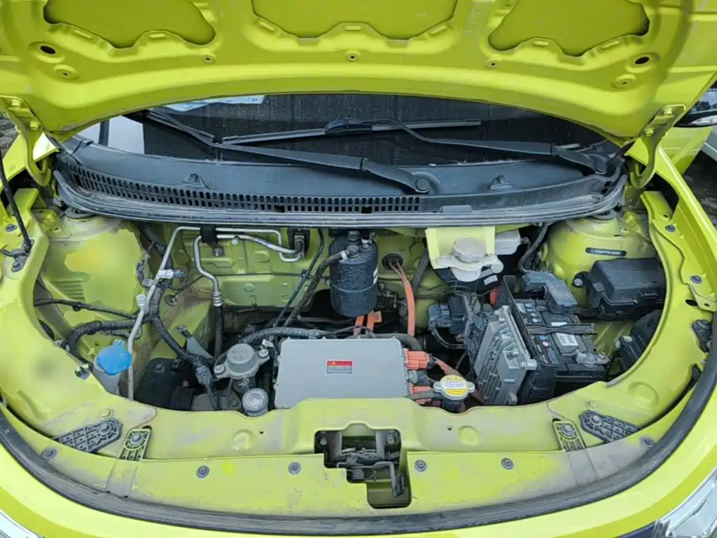 Sehol Flower Fairy 2021 2021 302km Luxury 30.2kWh