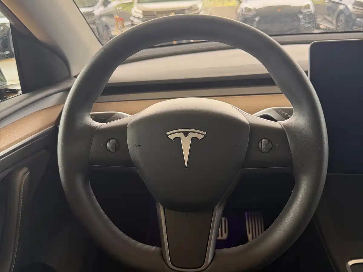 Tesla Model Y 2021 2021 Standard Range Rear-Wheel Drive