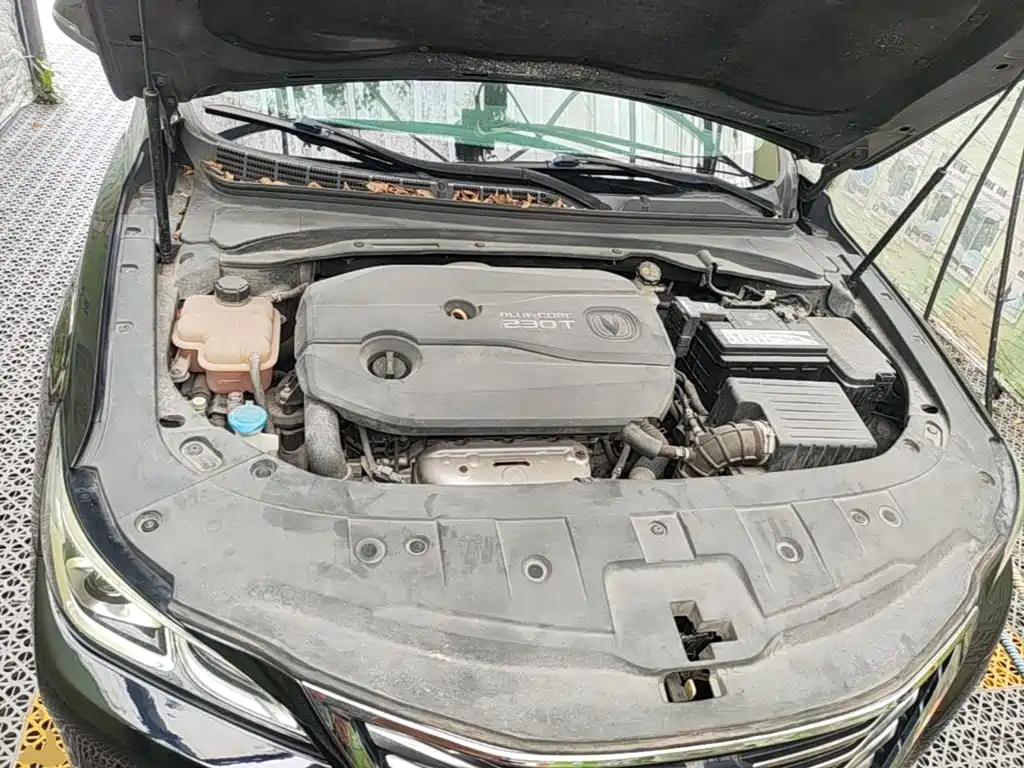 Changan Raeton CC 2019 2018 1.5T Manual Elegant China V