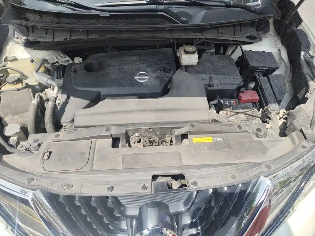 Nissan Murano 2019 2019 2.5L XL 2WD Smart Connect Luxury Edition (China VI)