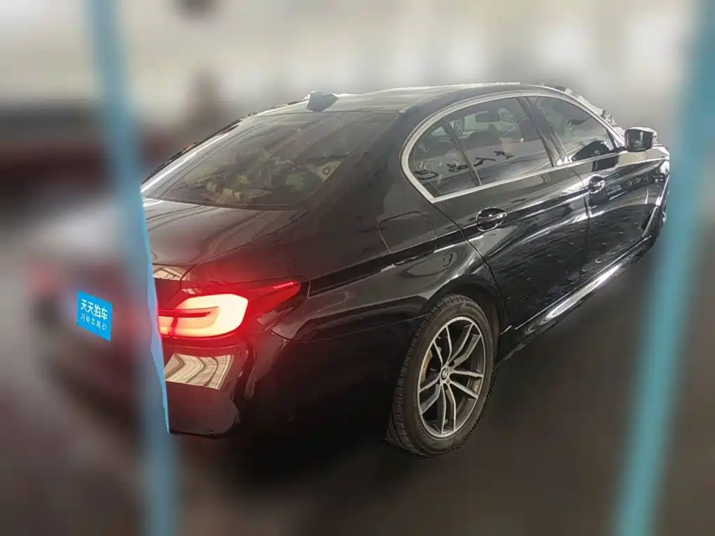 BMW 5 Series, миниатюра 2