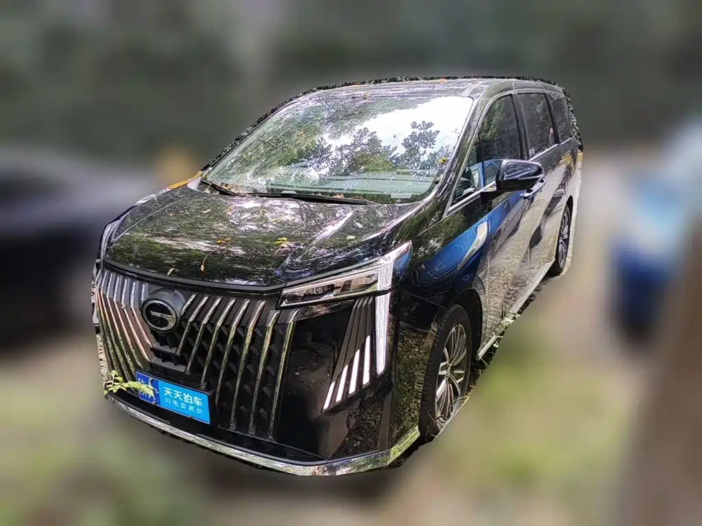 GAC Trumpchi Trumpchi M8 2024 — пригон из Китая