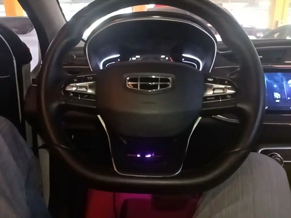 Фото 11 - Geely Binrui