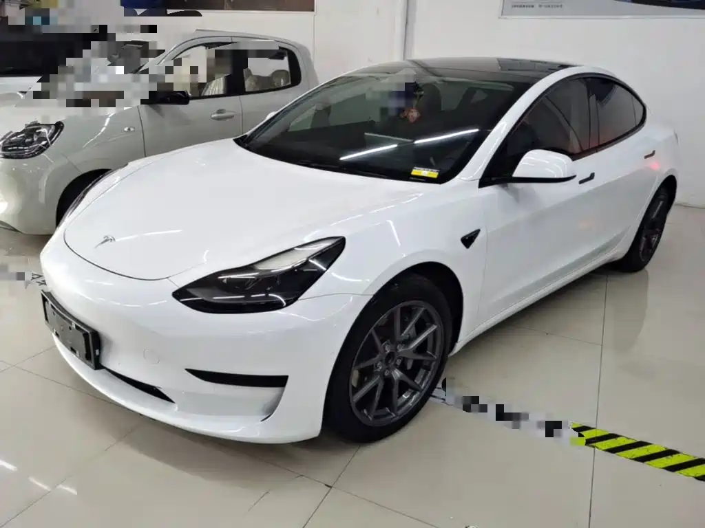 Tesla Model 3 2021