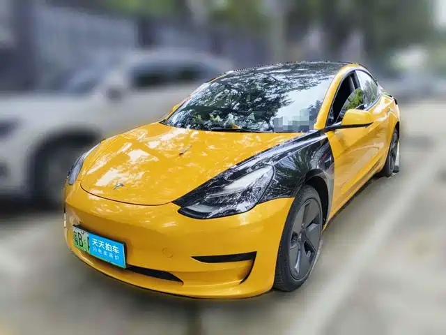 Tesla Model 3 2021 Standard Range Rear-Wheel Drive Upgrade 3D6 — фото 1