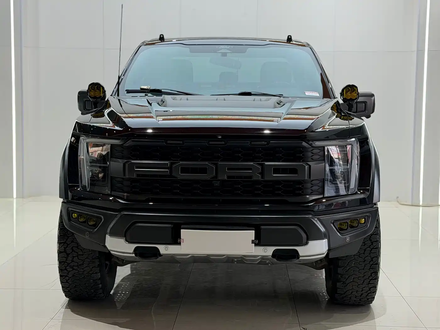 FORD F-150 RAPTOR
