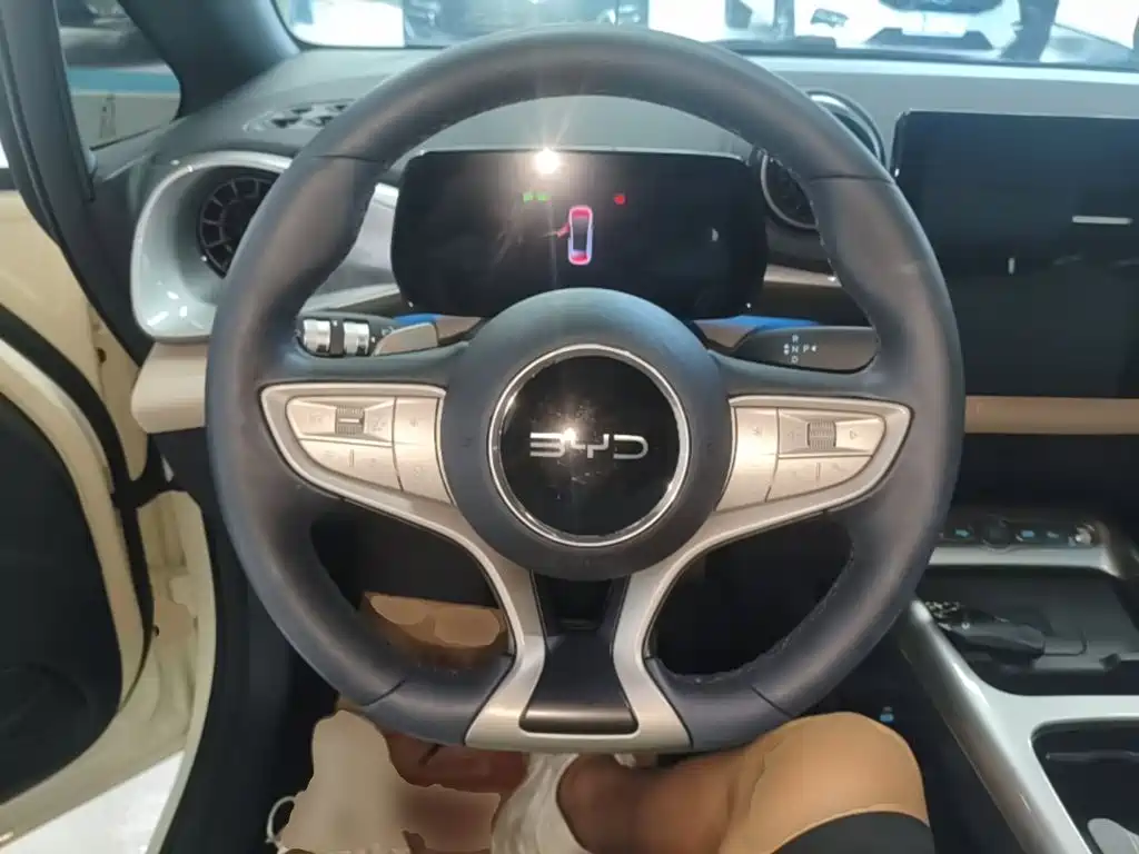 BYD Dolphin 2026 2025 Smart Drive Edition 410km Fashion Version