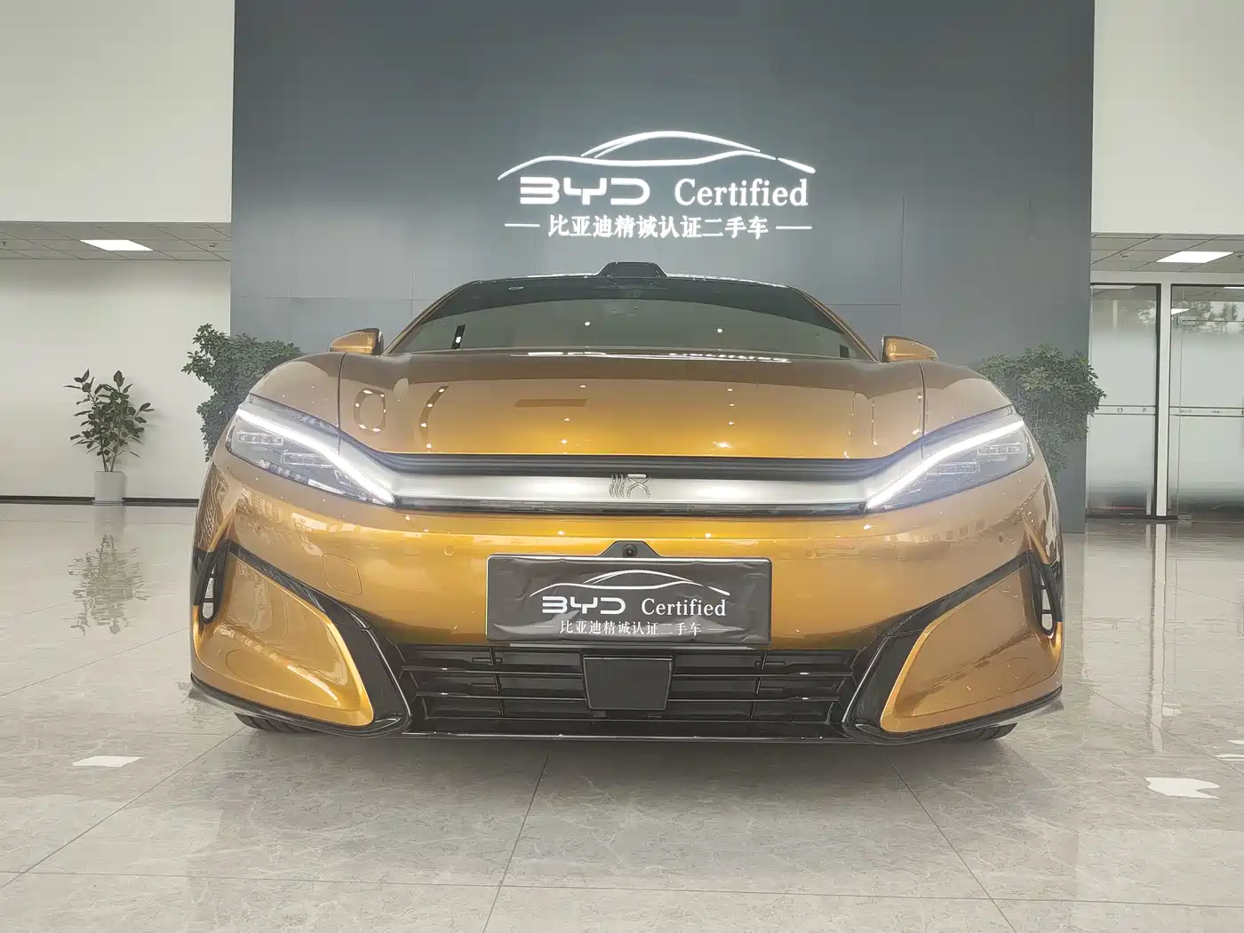 BYD Han L 2025 EV AWD LiDAR Flagship фото 2