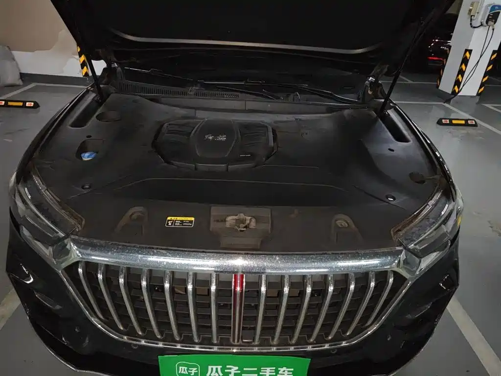Hongqi HS5 2019 2.0T Smart Connect Enjoy Edition фото 18