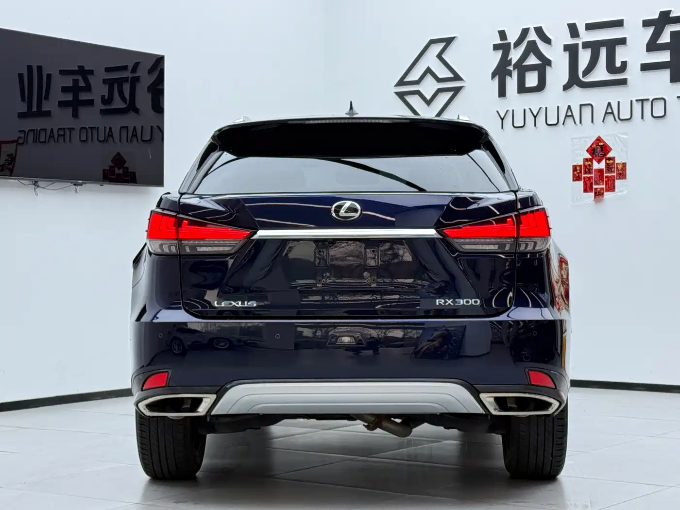 Lexus RX 2020 300 4WD Elegance Edition China VI фото 16