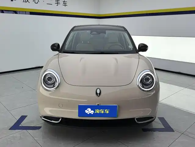 Ora Good Cat 2021 400km Standard Range Athena Edition (LFP) — фото 2