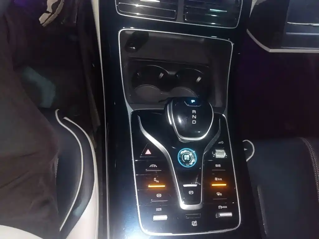 BYD Qin PLUS 2021 2021 EV 500KM Premium Model