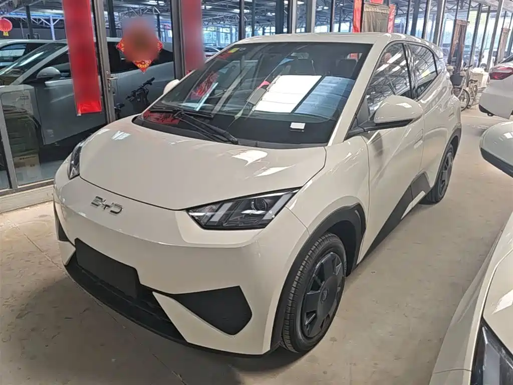 BYD Seagull 2025 Smart Drive Edition 305km Vitality Version фото 2