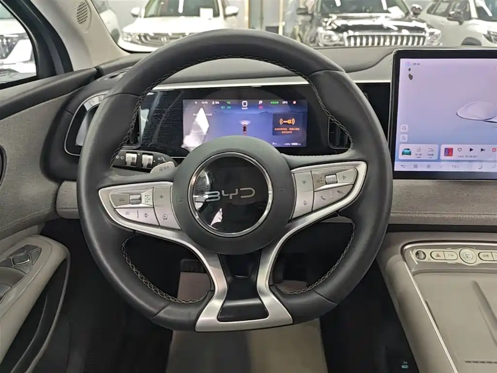 BYD Hai Shi 05 EV 2025 520KM Smart Navigation Edition фото 11