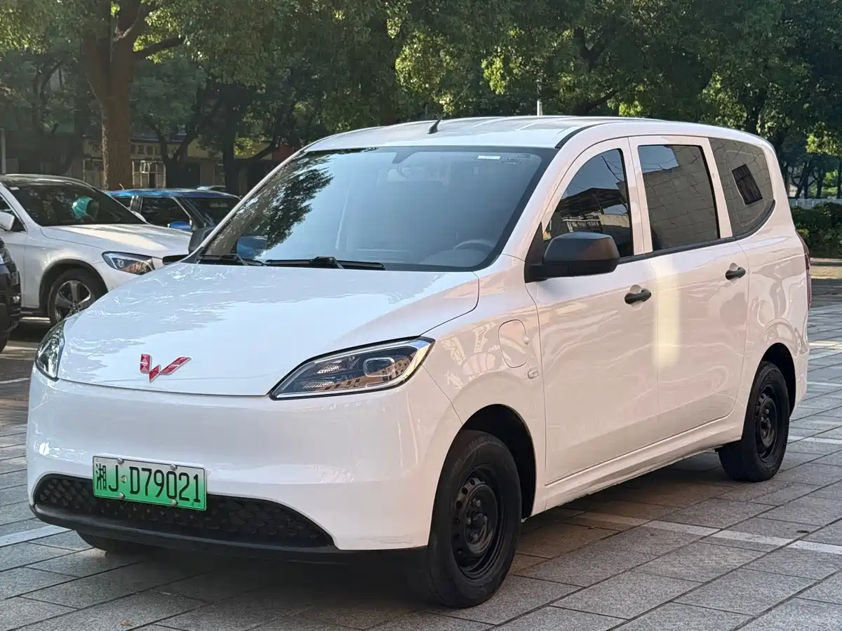 Wuling Motors Wuling Hongguang New Energy 2024 2024 Model Pure Electric 300KM Utility Version