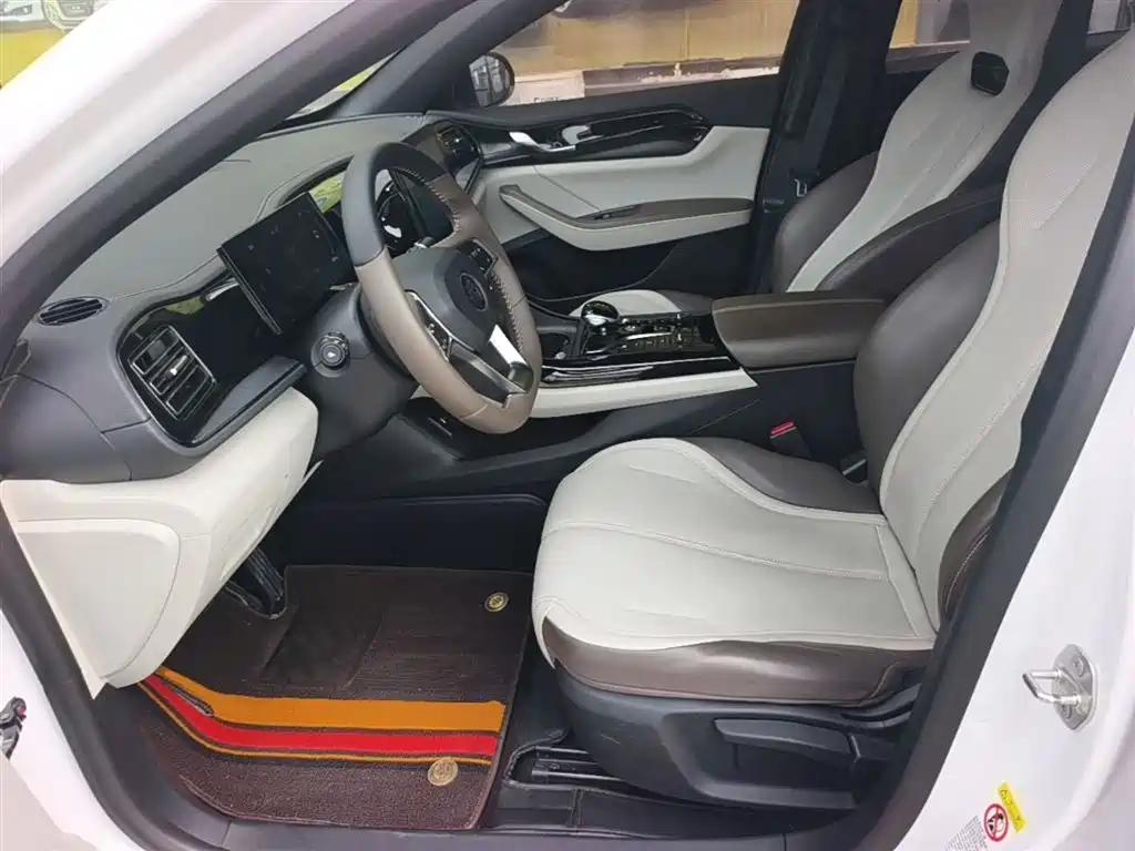 BYD Qin PLUS 2024 Glory Edition DM-i 55KM Leading фото 15