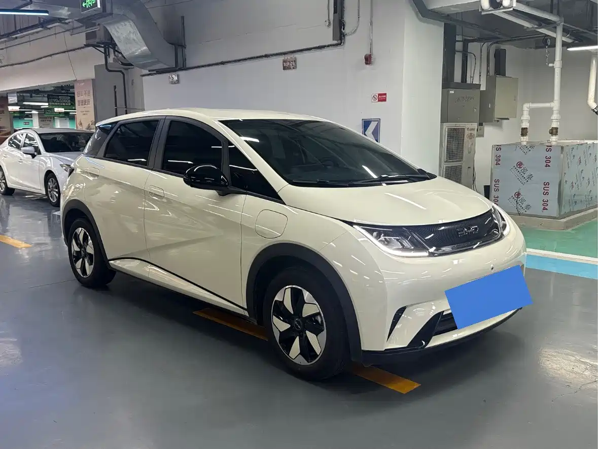 2026 BYD Dolphin