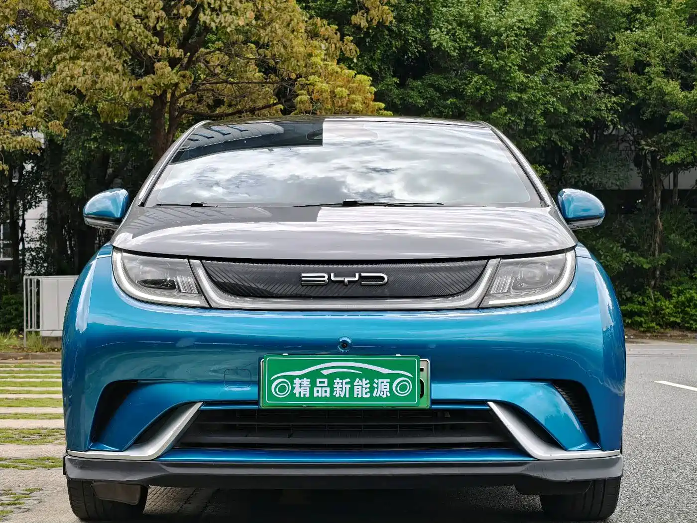 BYD Dolphin 2023 401km Knight Edition фото 2