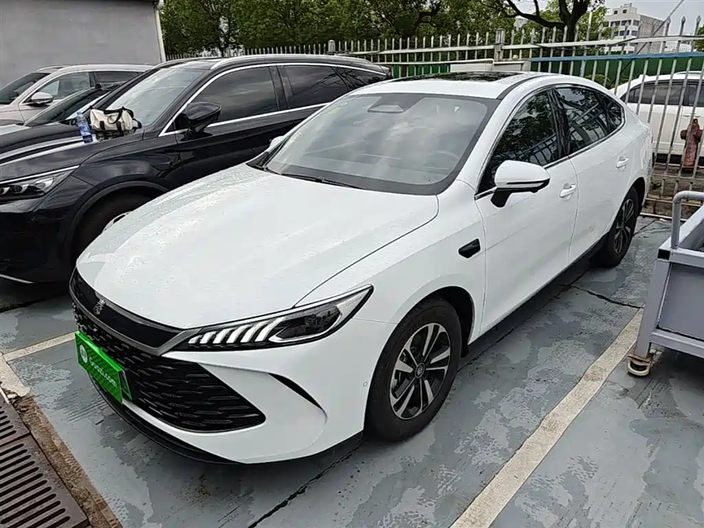 BYD Qin PLUS 2025 DM-i Smart Drive Edition 55KM Surpassing Type фото 2
