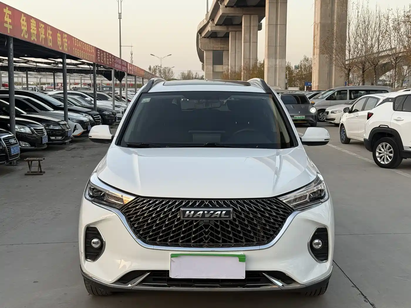 HAVAL M6