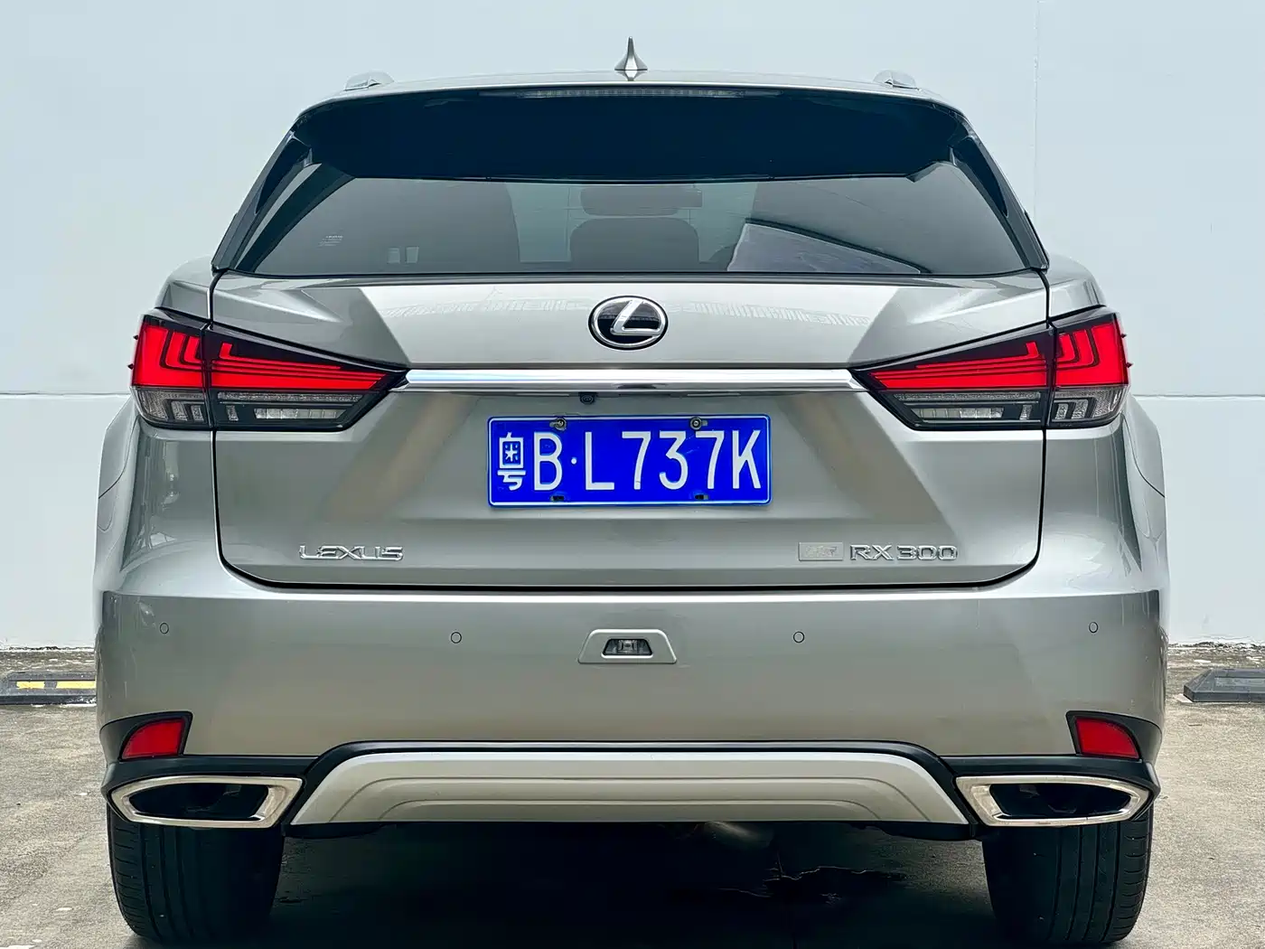 Lexus RX 2020 300 4WD Luxury Edition China VI фото 17
