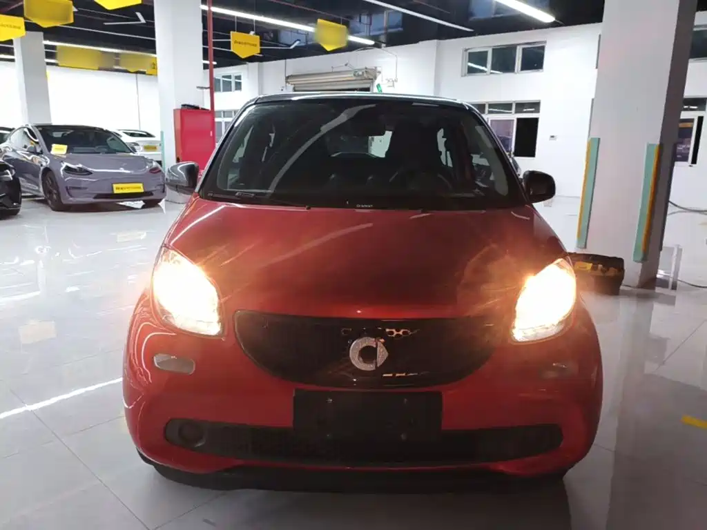 Фото 3 - smart forfour