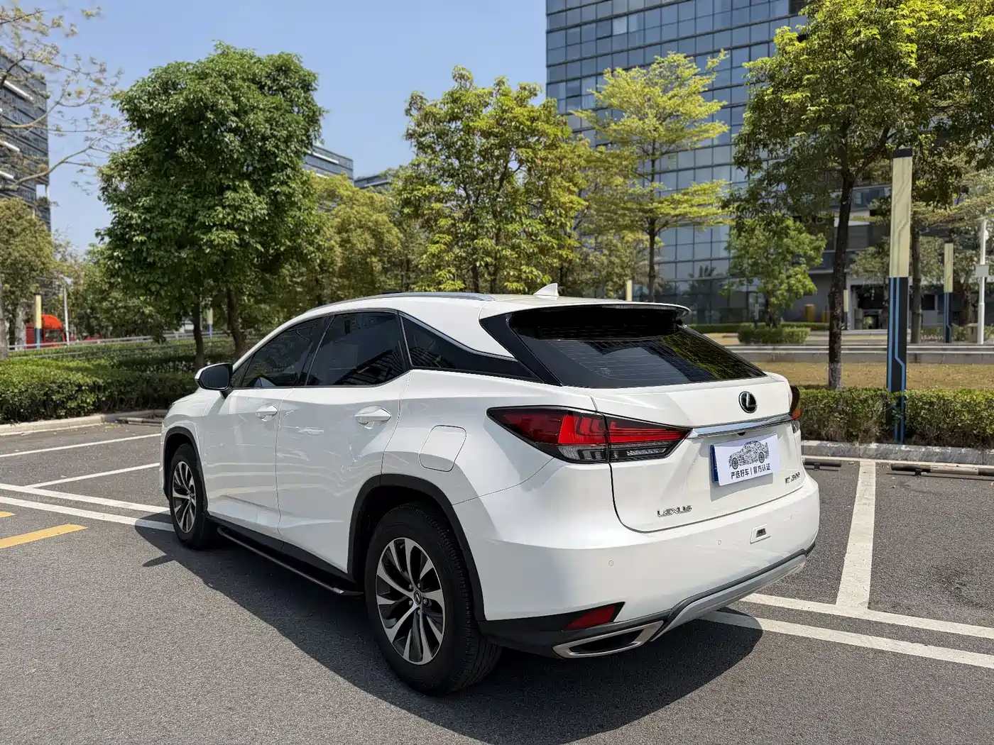 Фото 5 - Lexus RX
