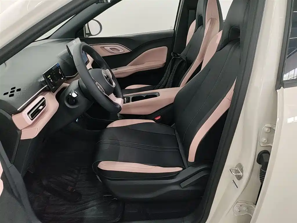 BYD Seagull 2025 Smart Drive Edition 305km Vitality Version фото 15