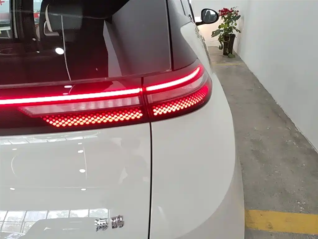 BYD Seagull 2025 Smart Drive Edition 305km Vitality Version фото 8