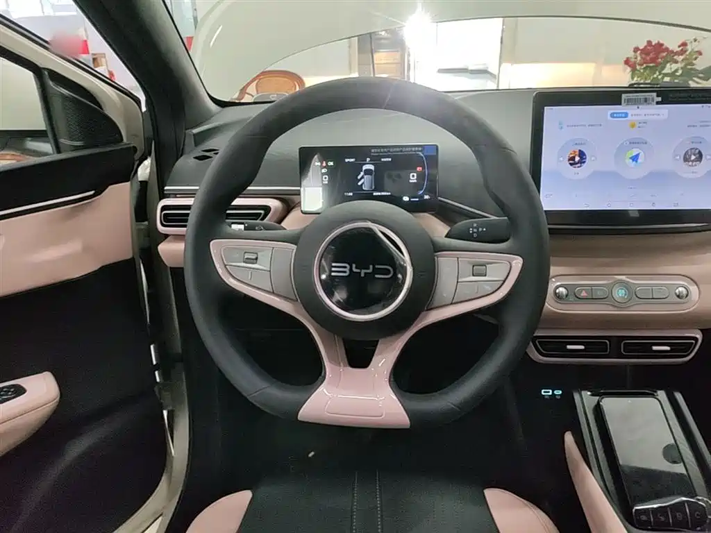 BYD Seagull 2025 Smart Drive Edition 305km Vitality Version фото 11