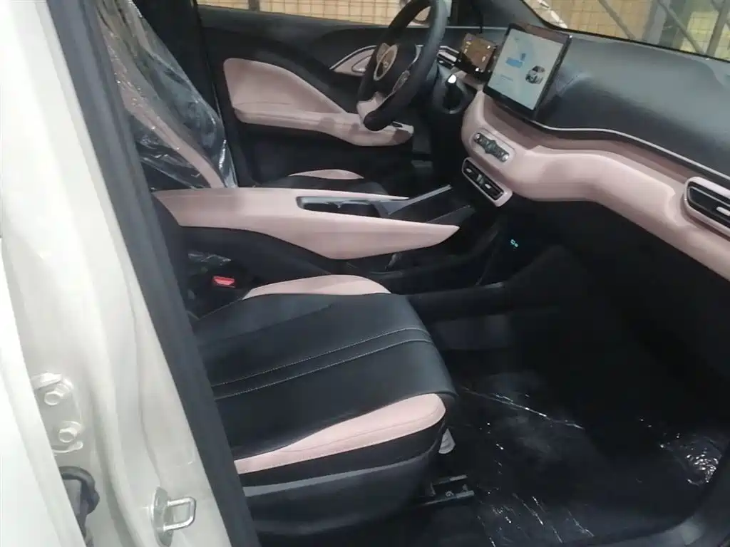 BYD Seagull 2025 Smart Drive Edition 305km Vitality Version фото 25