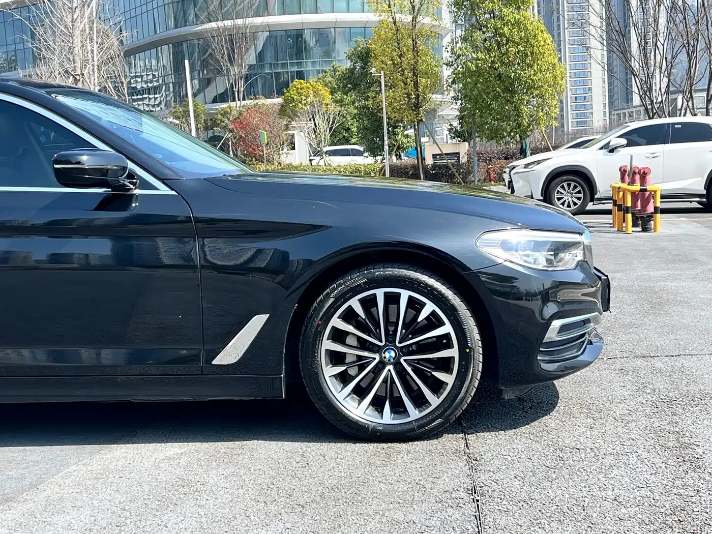 BMW 5 Series 2020 530Li Leading Luxury Package фото 17