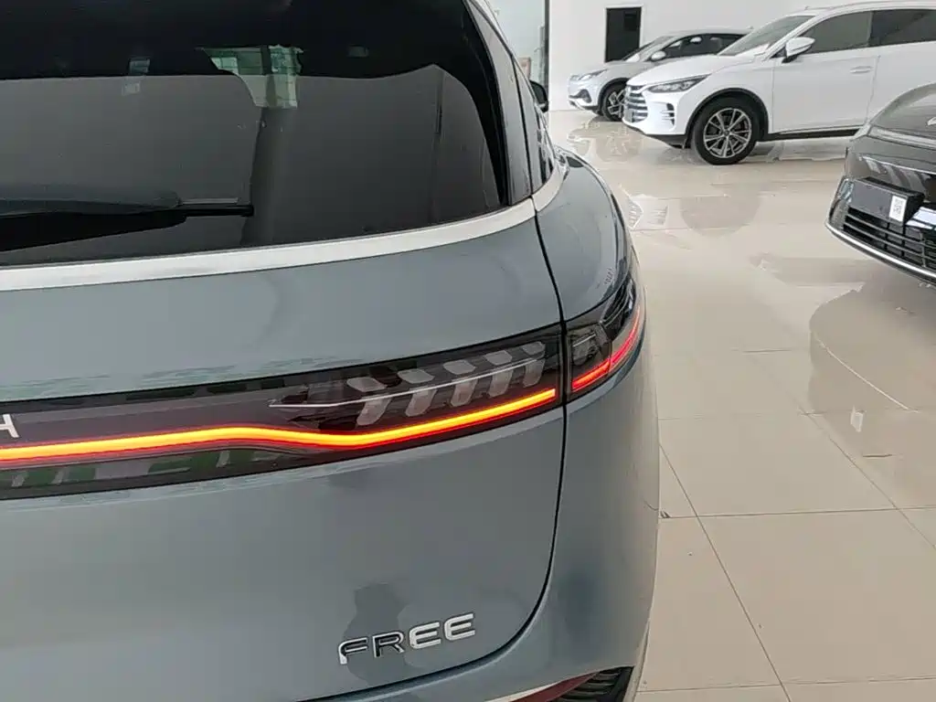 Voyah Free 2021 2021 AWD Standard Range Extender Exclusive Luxury Package